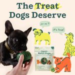 WOOF Pupsicle Chicken Refill Pops, Delicious Long Lasting Dog Treats, Wholesome Ingredients, Pre-Made Large Pupsicle Refills Pops- For Dogs 25 - 75 lbs - 7 count - Image 2