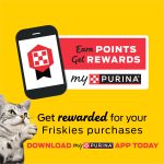 Purina Friskies Wet Cat Food Variety Pack, Tasty Treasures Prime Filets (With Ocean Fish and Tuna, With Chicken and With Turkey) - 5.5 Ounce (Pack of 12) - Image 4