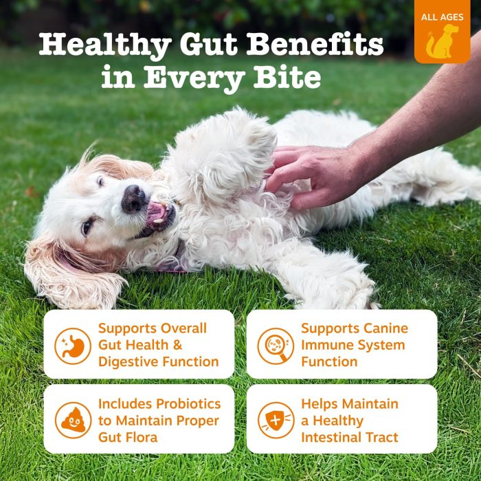 Zesty Paws Probiotics for Dogs - Digestive Enzymes for Gut Flora, Digestive Health, Diarrhea & Bowel Support - Clinically Studied DE111 - Dog Supplement Soft Chew for Pet Immune System - Pumpkin - Image 7