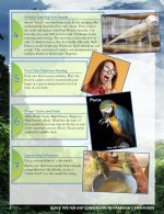 Harrison's Bird Foods Adult Lifetime Coarse Certified Organic Non-GMO Daily Maintenance Formula for Medium to Large Birds, Parrots, Cockatoos, Macaws etc, Suitable for All Life Stages 2.27kg/ 5lb - Image 6