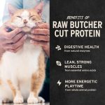 Vital Essentials Minnows Cat Treats, 1 oz | Freeze-Dried Raw | Single Ingredient | Grain Free, Gluten Free, Filler Free - Image 6