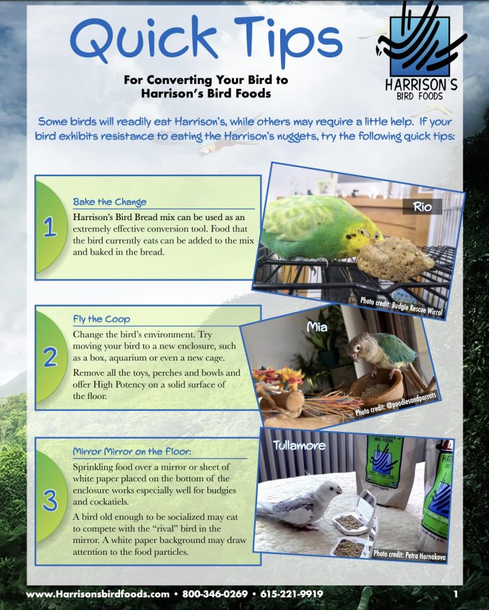 Harrison's Bird Foods Adult Lifetime Coarse Certified Organic Non-GMO Daily Maintenance Formula for Medium to Large Birds, Parrots, Cockatoos, Macaws etc, Suitable for All Life Stages 2.27kg/ 5lb - Image 7