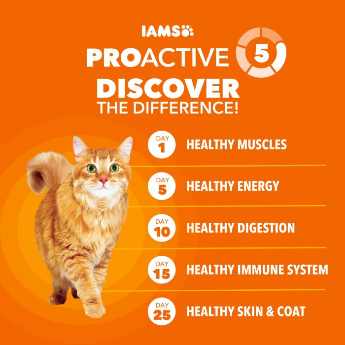 IAMS Proactive Health Adult Healthy Dry Cat Food with Chicken, 22 lb. Bag - Image 8