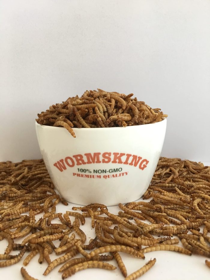 WORMSKING 5LB Dried Black Soldier Fly Larvae, More Calcium Than Dried Mealworms, High Protein Chicken Feed,Duck Food, BSFL, Duck Treats - Image 2