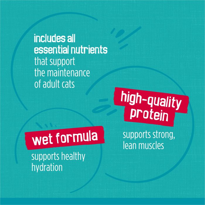 Purina Friskies Wet Cat Food Variety Pack, Tasty Treasures Prime Filets (With Ocean Fish and Tuna, With Chicken and With Turkey) - 5.5 Ounce (Pack of 12) - Image 5