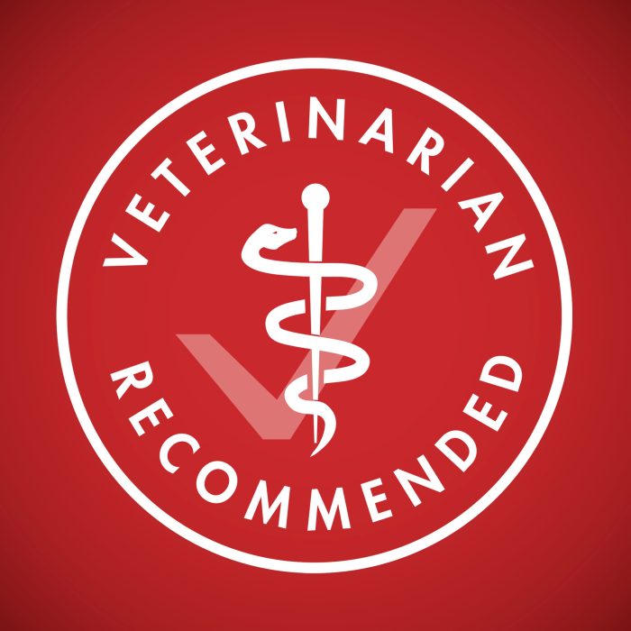 Purina ONE Dry Dog Food Lamb and Rice Formula - 31.1 lb. Bag - Image 6