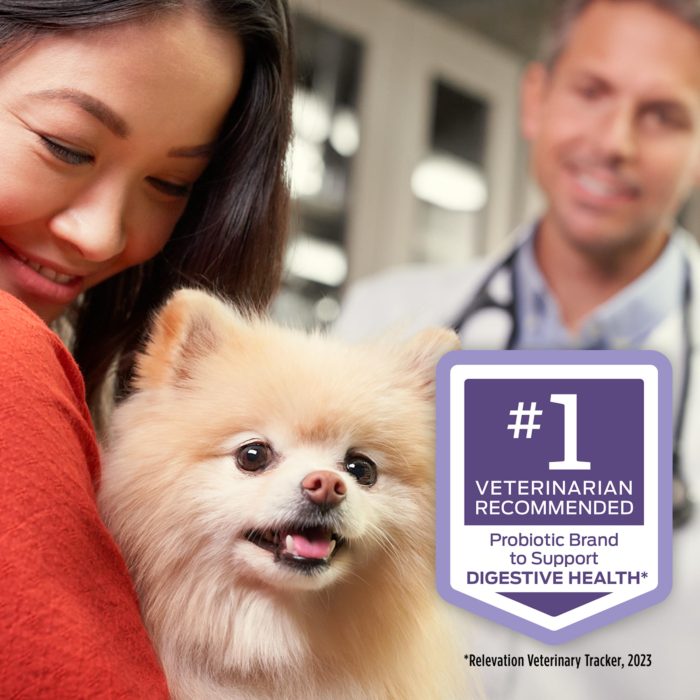 Purina Pro Plan Veterinary Supplements FortiFlora Canine Probiotics for Dogs, Helps Digestive Gut Health and Diarrhea - 30 ct. Box - Image 8