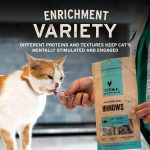 Vital Essentials Minnows Cat Treats, 1 oz | Freeze-Dried Raw | Single Ingredient | Grain Free, Gluten Free, Filler Free - Image 4