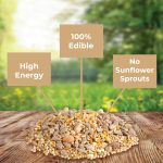 Kaytee Wild Bird (No Mess or Waste Free) Food Seed Blend For Blue Jays, Woodpeckers, Juncos, Cardinals, Grosbeaks, Sparrows, and Finches, 10 Pound, (Packaging May Vary) - Image 5