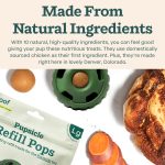 WOOF Pupsicle Chicken Refill Pops, Delicious Long Lasting Dog Treats, Wholesome Ingredients, Pre-Made Large Pupsicle Refills Pops- For Dogs 25 - 75 lbs - 7 count - Image 5