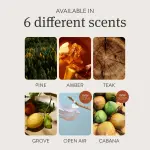 Drift Car Air Freshener - Stone Air Freshener Car Odor Eliminator - Long Lasting Scent - Auto Accessories - Metal Clip - Essential Oils - Clean Ingredients - Amber Scent Starter Kit - Image 4