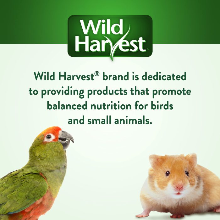 Wild Harvest Daily Blend Nutrition Diet Parakeet, Canary And Finch, Bird Food, 5 Pounds - Image 3
