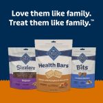 Blue Buffalo Health Bars Crunchy Dog Biscuits, Oven-Baked with Natural Ingredients, Pumpkin & Cinnamon, 16-oz Bag - Image 3
