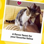 Temptations MixUps Surfer's Delight Flavor Crunchy and Soft Cat Treats, 16 oz. Tub - Image 4