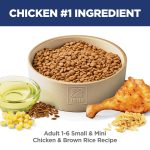 Hill's Science Diet Small & Mini, Adult 1-6, Small & Mini Breeds Premium Nutrition, Dry Dog Food, Chicken & Brown Rice, 4.5 lb Bag - Image 15