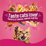 Purina Friskies Gravy Swirlers With Flavors of Chicken, Salmon and Gravy Dry Cat Food - 3.15 lb. Bag - Image 11