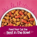 Purina Friskies Gravy Swirlers With Flavors of Chicken, Salmon and Gravy Dry Cat Food - 3.15 lb. Bag - Image 7