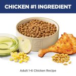 Hill's Science Diet Adult 1-6, Adult 1-6 Premium Nutrition, Dry Cat Food, Chicken Recipe, 4 lb Bag - Image 14