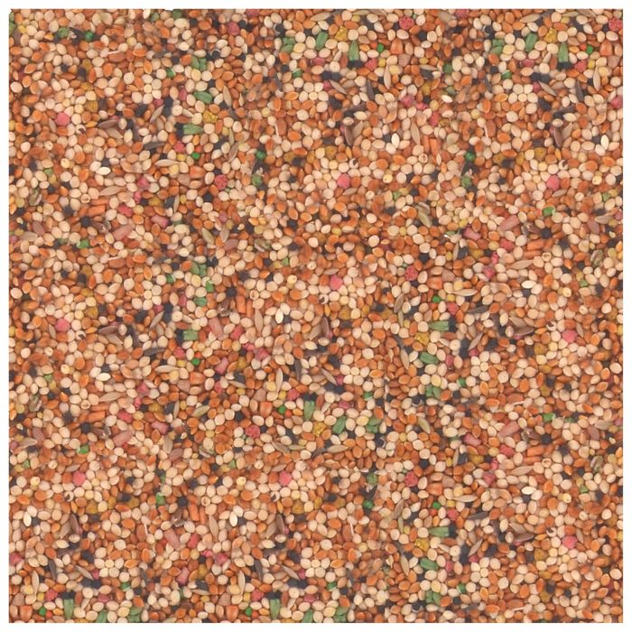 Wild Harvest Universal Blend For Small Birds 3 Pounds, Foritified Nutrition - Image 7