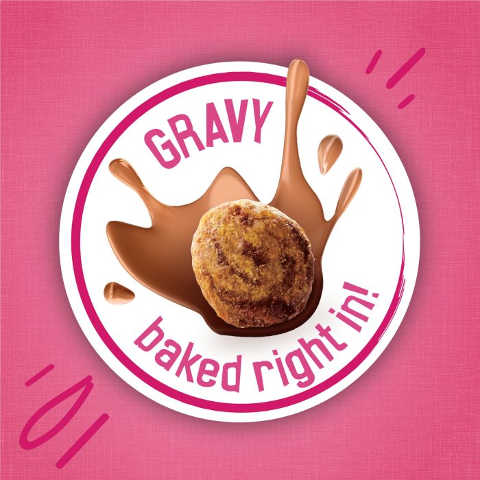 Purina Friskies Gravy Swirlers With Flavors of Chicken, Salmon and Gravy Dry Cat Food - 3.15 lb. Bag - Image 10