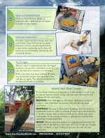 Harrison's Bird Foods Adult Lifetime Coarse Certified Organic Non-GMO Daily Maintenance Formula for Medium to Large Birds, Parrots, Cockatoos, Macaws etc, Suitable for All Life Stages 2.27kg/ 5lb - Image 5