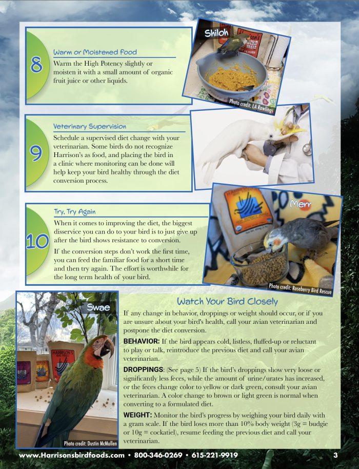 Harrison's Bird Foods Adult Lifetime Coarse Certified Organic Non-GMO Daily Maintenance Formula for Medium to Large Birds, Parrots, Cockatoos, Macaws etc, Suitable for All Life Stages 2.27kg/ 5lb - Image 5