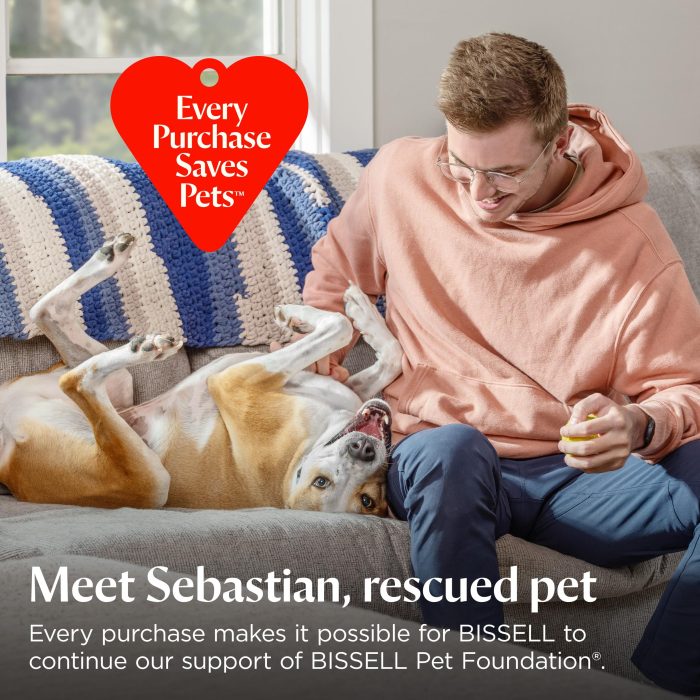 Bissell PowerClean 200W Self-Standing Cordless Vacuum w/Tangle Free Brush Roll, Removeable Battery, Wall Mount, Upholstery Tool & Bright Headlights, 4173 - Image 2