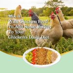 WORMSKING 5LB Dried Black Soldier Fly Larvae, More Calcium Than Dried Mealworms, High Protein Chicken Feed,Duck Food, BSFL, Duck Treats - Image 4