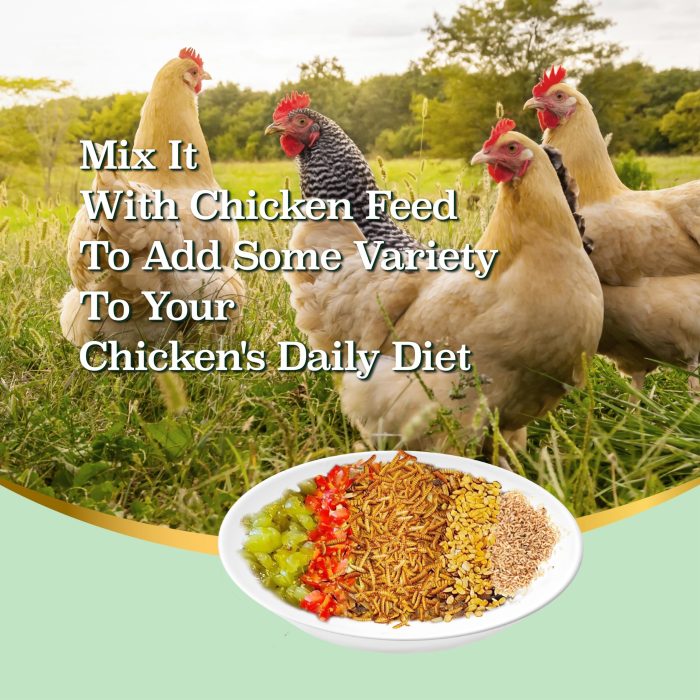 WORMSKING 5LB Dried Black Soldier Fly Larvae, More Calcium Than Dried Mealworms, High Protein Chicken Feed,Duck Food, BSFL, Duck Treats - Image 4