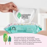 Amazon Brand - Mama Bear Gentle Fragrance Free Baby Wipes, Hypoallergenic, Sensitive Skin, Unscented, 800 Count (8 Packs of 100) - Image 5