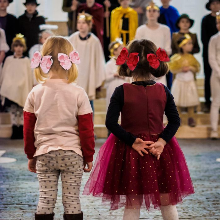 Oaoleer 40Pcs 4.5" Hair Bows Clips Grosgrain Ribbon, Alligator Clips, Barrettes Hair Accessories for Baby Girls Infants Toddlers Kids Teens Children (4.5 Inch, 20 Colors in Pairs) - Image 2